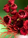 RED CANDIED ALMONDS