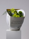 GREEN BERGAMOT