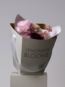 PEONIA GRAPEFRUIT